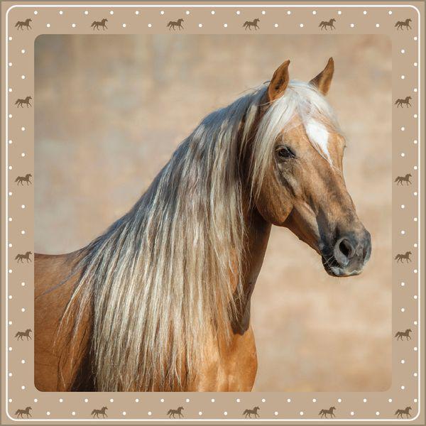 Beispielinhalt (Bild) Pferdekalender 2027