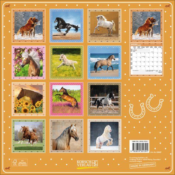 Beispielinhalt (Bild) Pferdekalender 2027