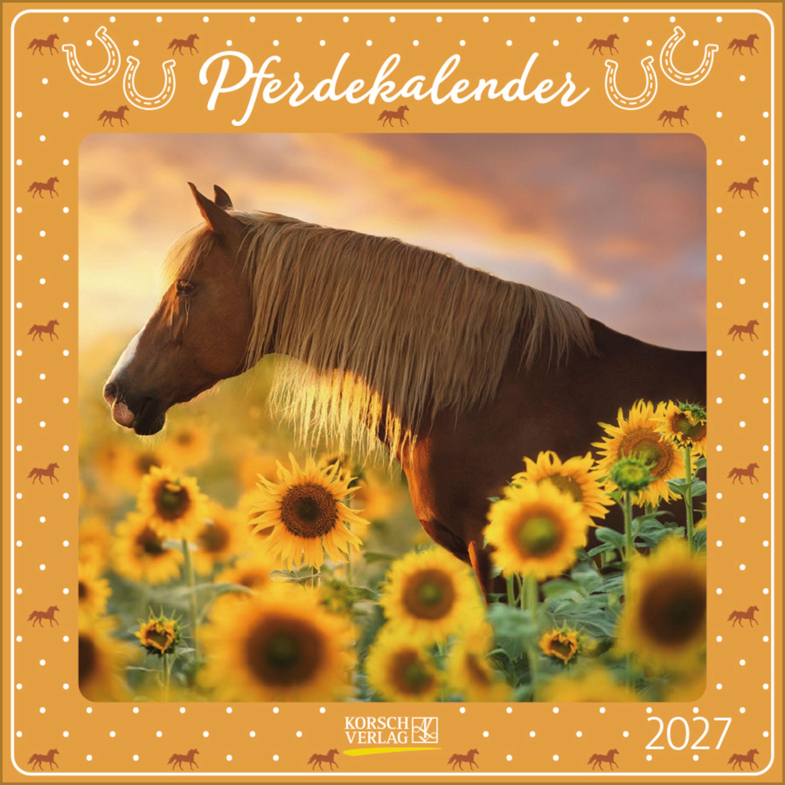 Vorderes Coverbild Pferdekalender 2027