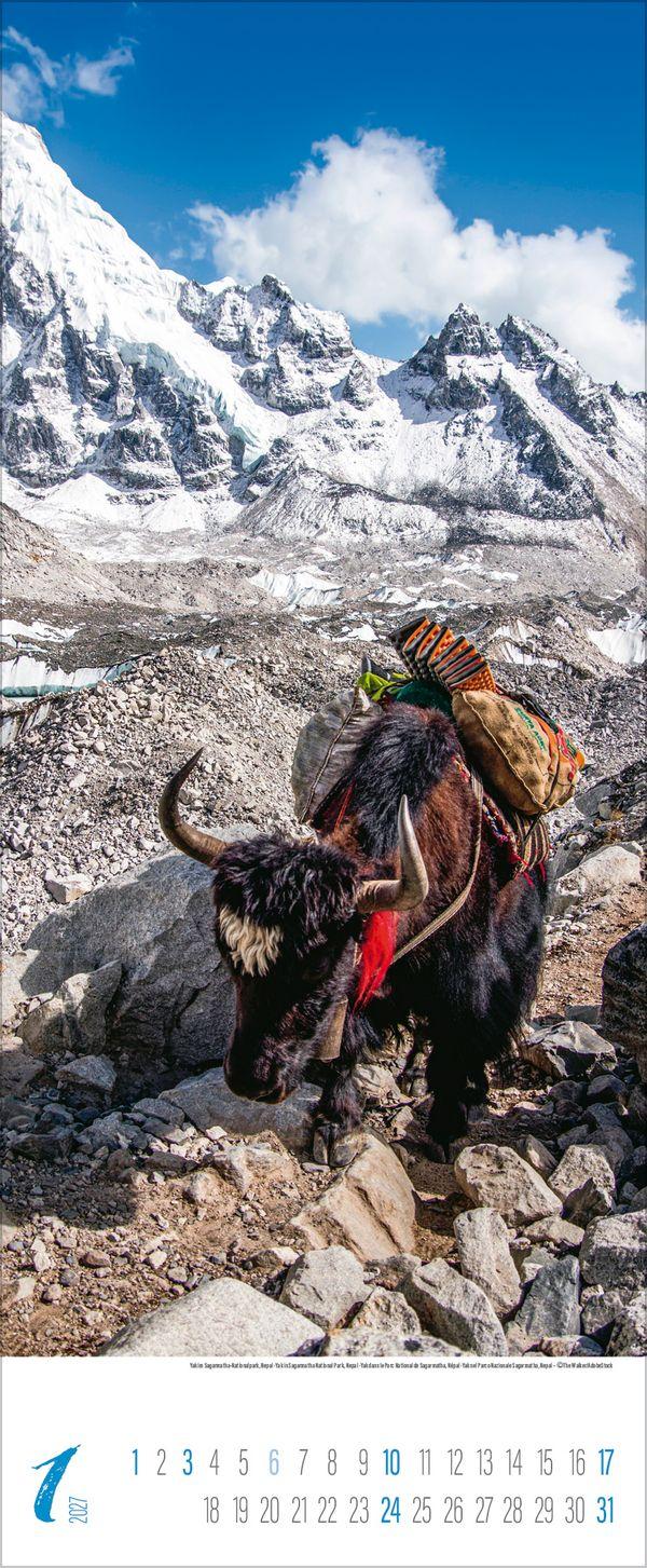 Beispielinhalt (Bild) Colours of Asia 2027