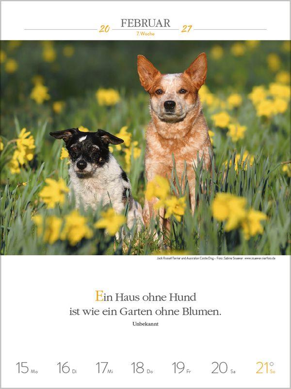 Beispielinhalt (Bild) Literaturkalender Hunde 2027