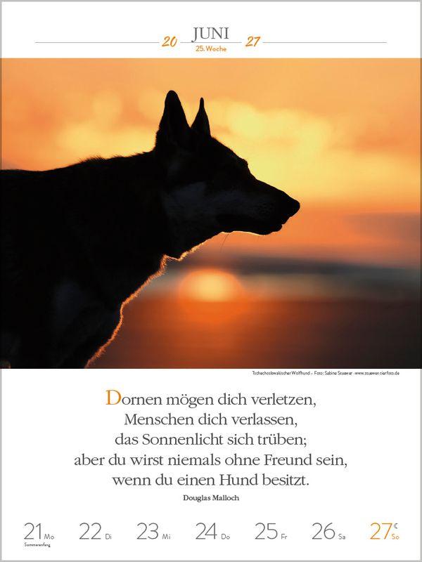 Beispielinhalt (Bild) Literaturkalender Hunde 2027