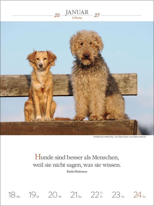 Beispielinhalt (Bild) Literaturkalender Hunde 2027