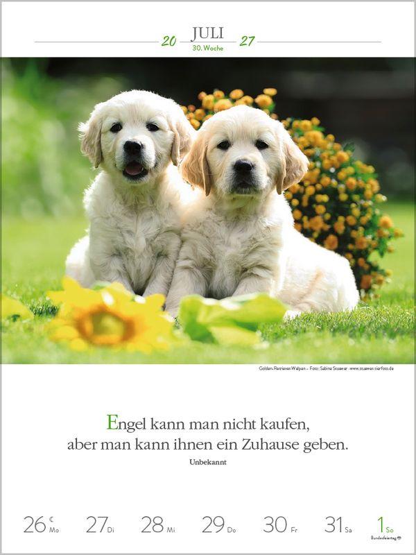 Beispielinhalt (Bild) Literaturkalender Hunde 2027