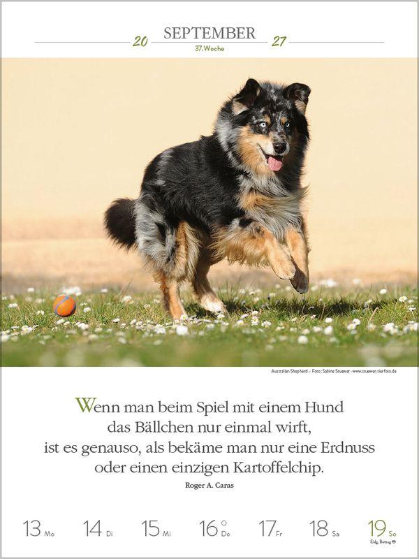 Beispielinhalt (Bild) Literaturkalender Hunde 2027