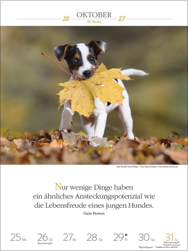 Beispielinhalt (Bild) Literaturkalender Hunde 2027
