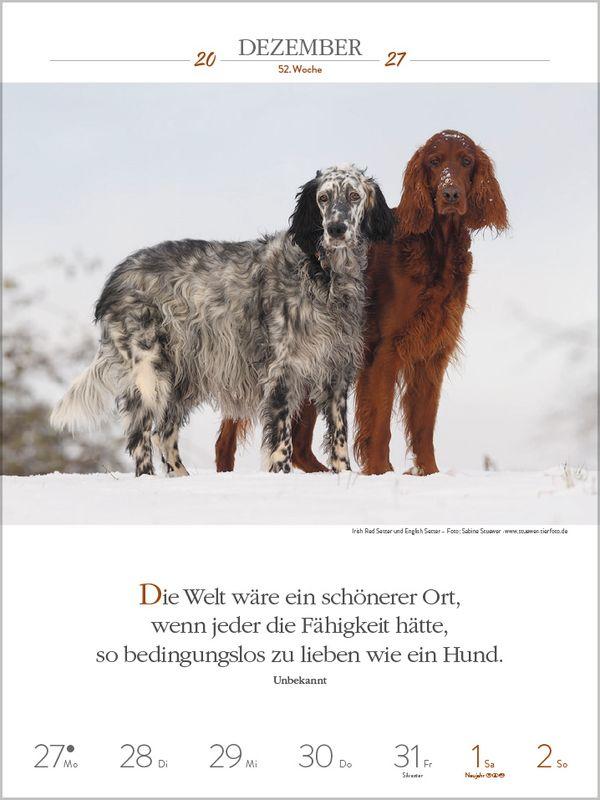 Beispielinhalt (Bild) Literaturkalender Hunde 2027