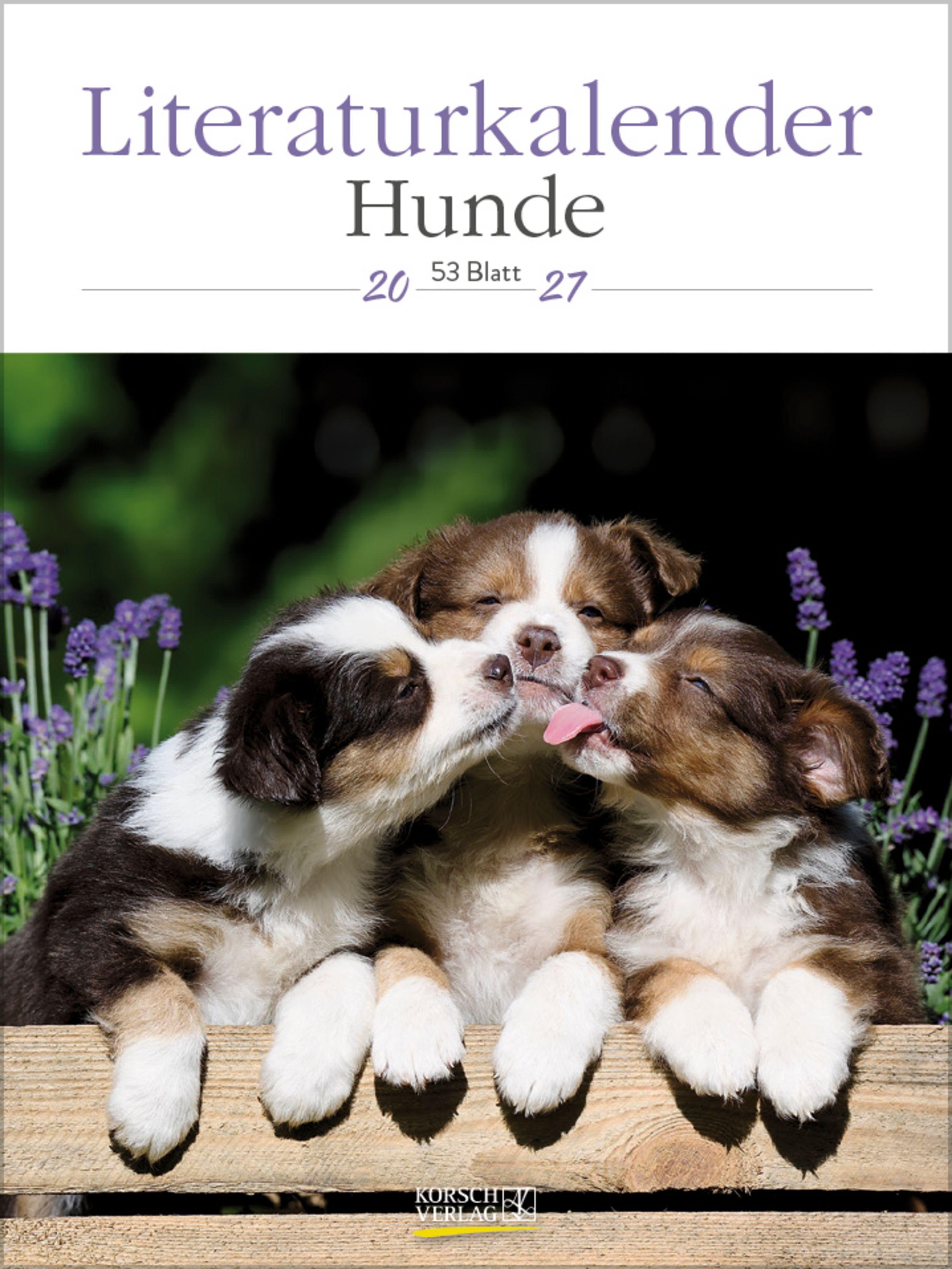 Vorderes Coverbild Literaturkalender Hunde 2027