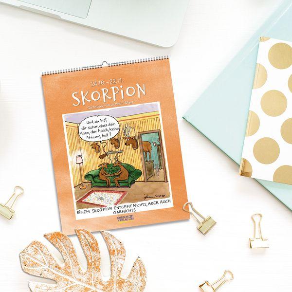 Beispielinhalt (Bild) Skorpion 2027