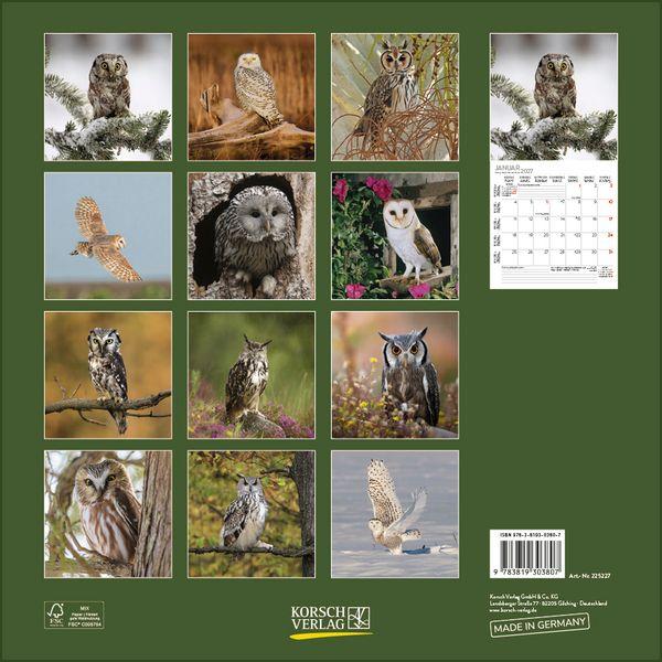 Beispielinhalt (Bild) Eulen 2027