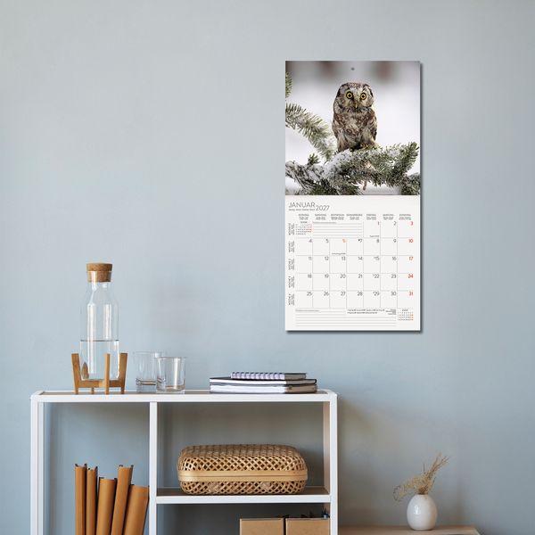 Beispielinhalt (Bild) Eulen 2027