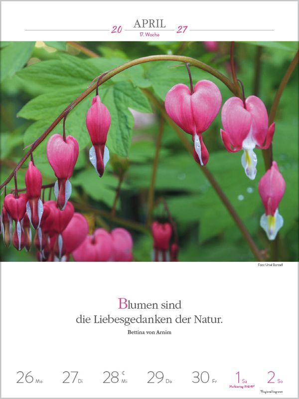 Beispielinhalt (Bild) Literaturkalender Gartenlust 2027