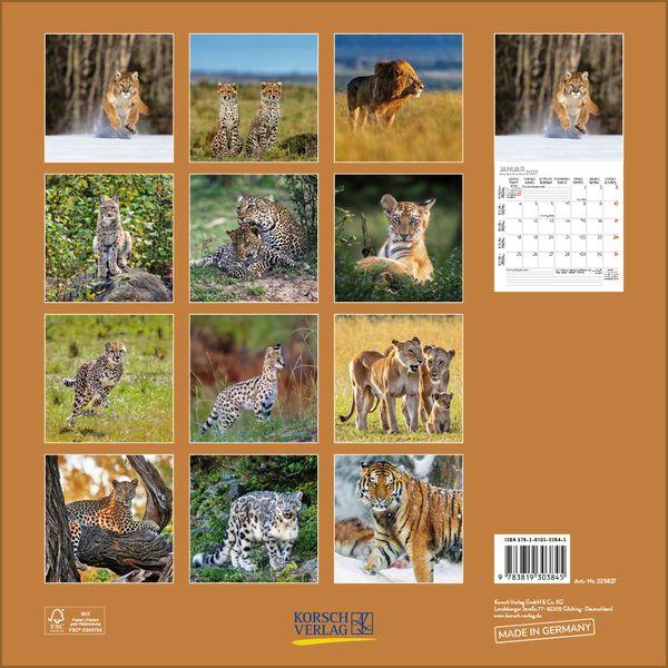 Beispielinhalt (Bild) Big Cats 2027