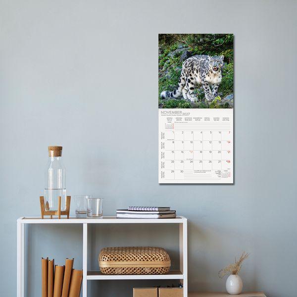 Beispielinhalt (Bild) Big Cats 2027