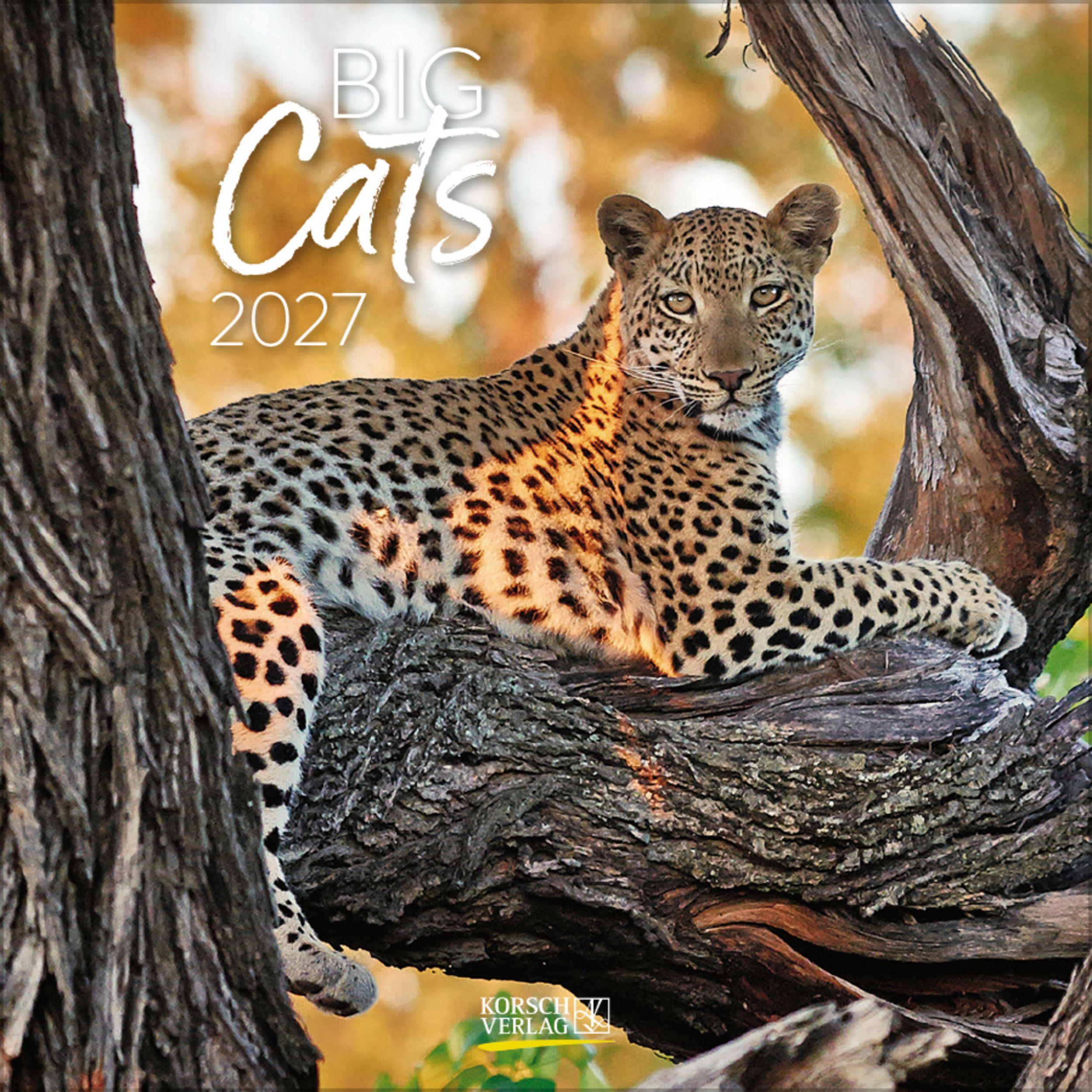 Vorderes Coverbild Big Cats 2027
