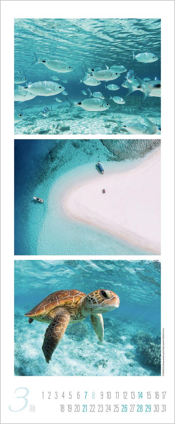 Beispielinhalt (Bild) Meeresrauschen 2027