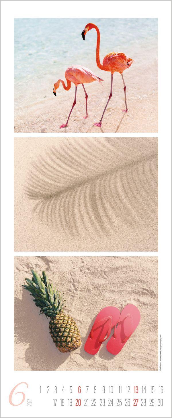 Beispielinhalt (Bild) Meeresrauschen 2027