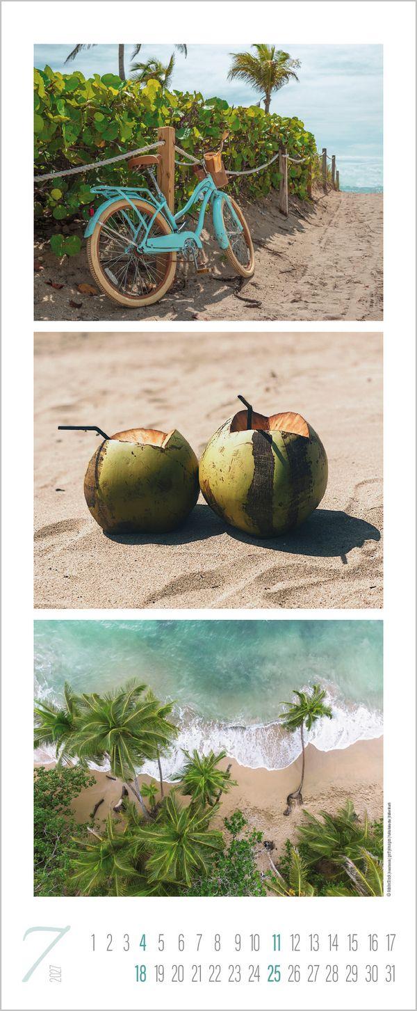 Beispielinhalt (Bild) Meeresrauschen 2027