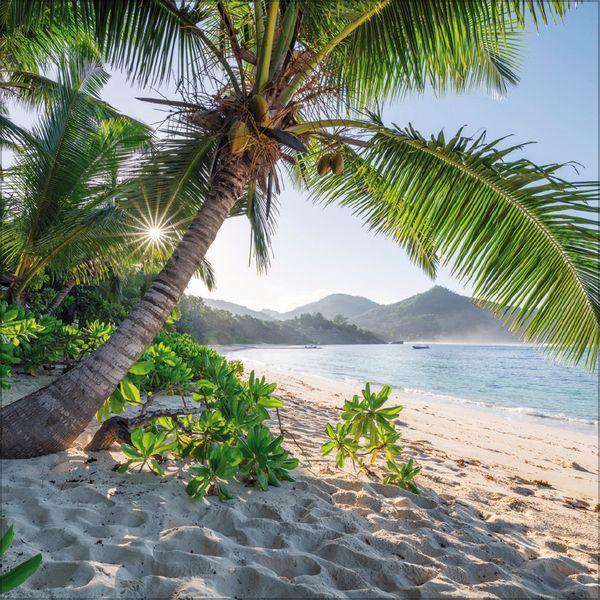 Beispielinhalt (Bild) Trauminseln 2027