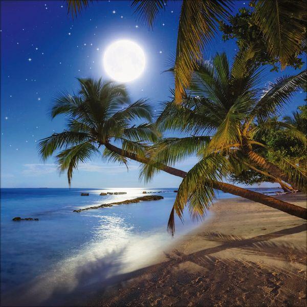 Beispielinhalt (Bild) Trauminseln 2027