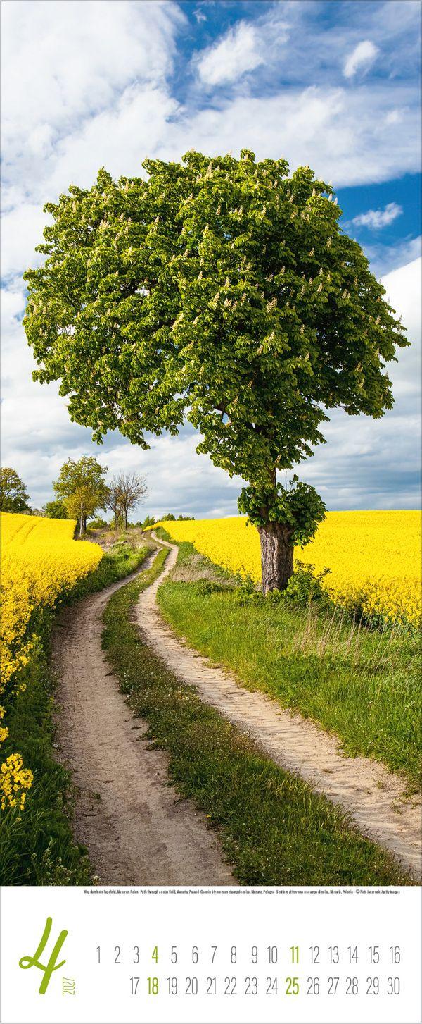 Beispielinhalt (Bild) Zauberhafte Wege 2027