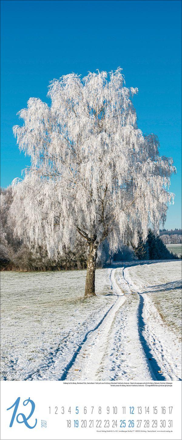 Beispielinhalt (Bild) Zauberhafte Wege 2027