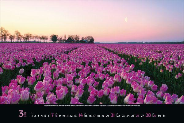 Beispielinhalt (Bild) Colourful Seasons 2027