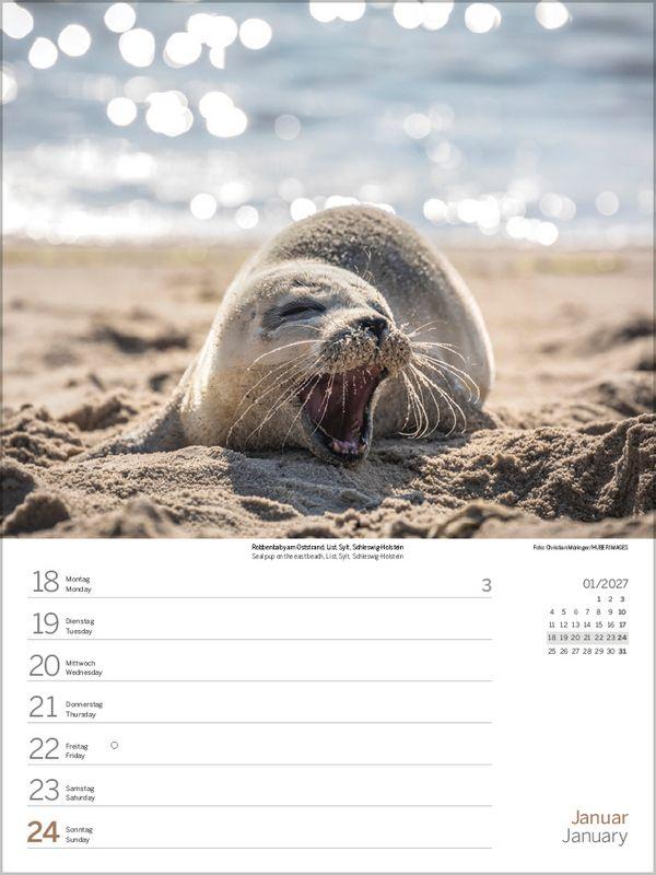 Beispielinhalt (Bild) Nord- und Ostsee Wochenkalender 2027