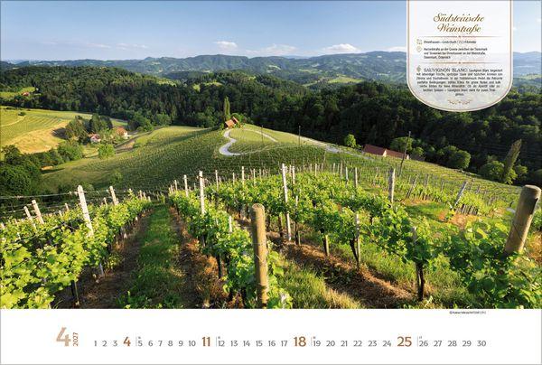 Beispielinhalt (Bild) Weinstraßen Europas 2027