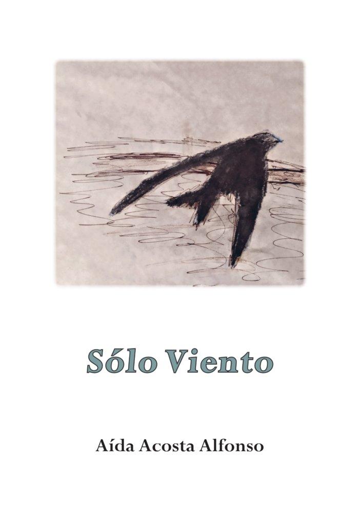Vorderes Coverbild Solo viento