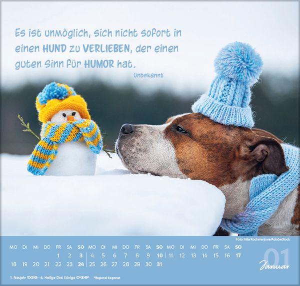 Beispielinhalt (Bild) Für Hundeliebhaber 2027