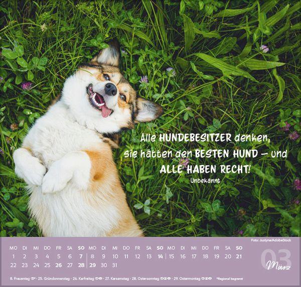 Beispielinhalt (Bild) Für Hundeliebhaber 2027
