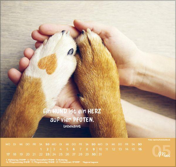 Beispielinhalt (Bild) Für Hundeliebhaber 2027