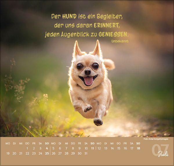 Beispielinhalt (Bild) Für Hundeliebhaber 2027