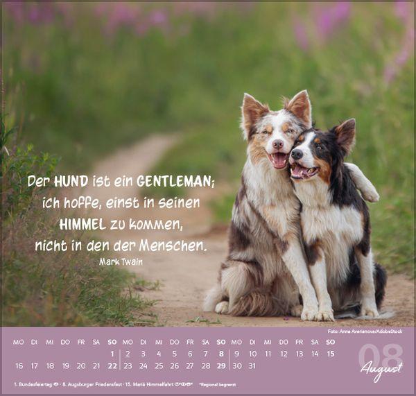 Beispielinhalt (Bild) Für Hundeliebhaber 2027