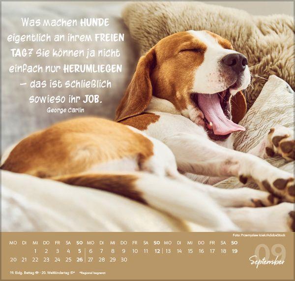 Beispielinhalt (Bild) Für Hundeliebhaber 2027