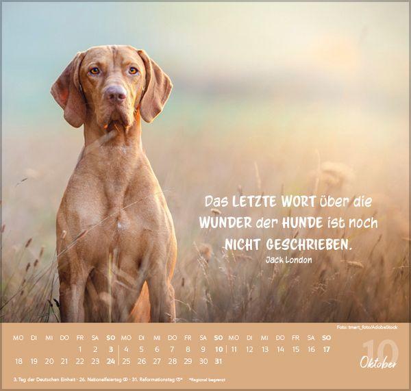 Beispielinhalt (Bild) Für Hundeliebhaber 2027