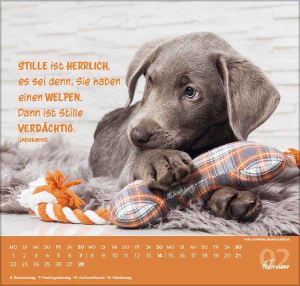 Beispielinhalt (Bild) Für Hundeliebhaber 2027