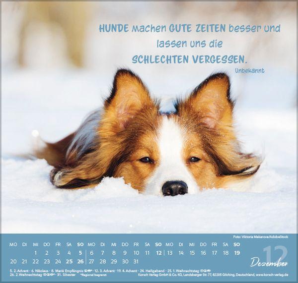 Beispielinhalt (Bild) Für Hundeliebhaber 2027