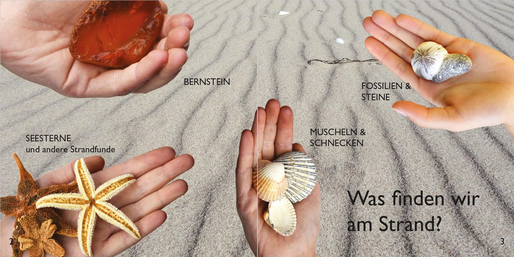 Beispielinhalt (Bild) Strandfunde am Ostseestrand