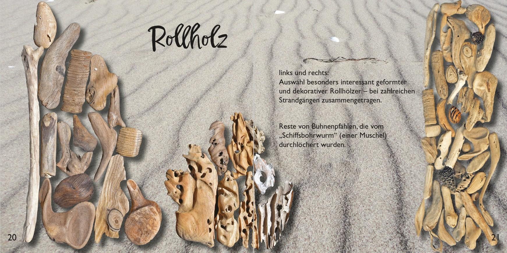 Beispielinhalt (Bild) Strandfunde am Ostseestrand