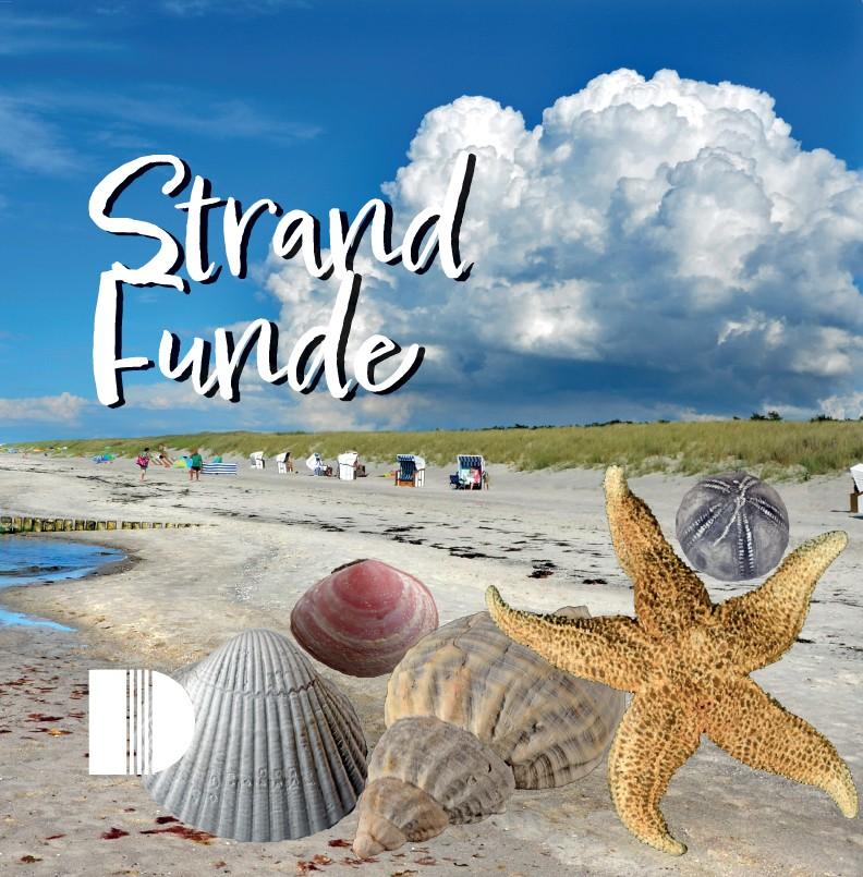 Vorderes Coverbild Strandfunde am Ostseestrand