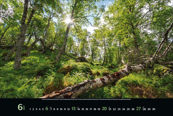 Beispielinhalt (Bild) Reiselust Norwegen 2027