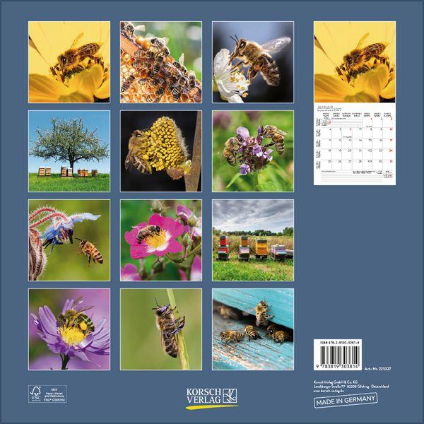 Beispielinhalt (Bild) Bienen 2027