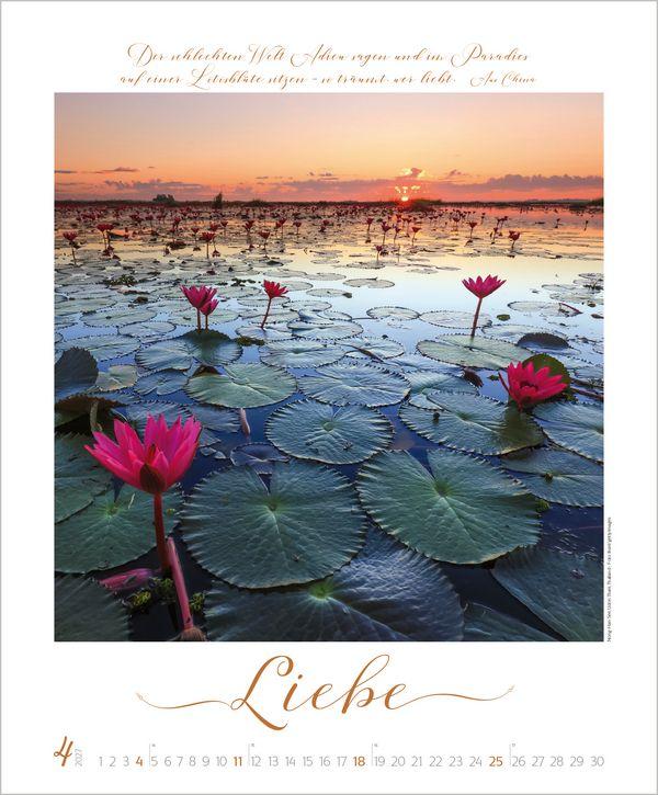 Beispielinhalt (Bild) Buddhistische Weisheiten 2027