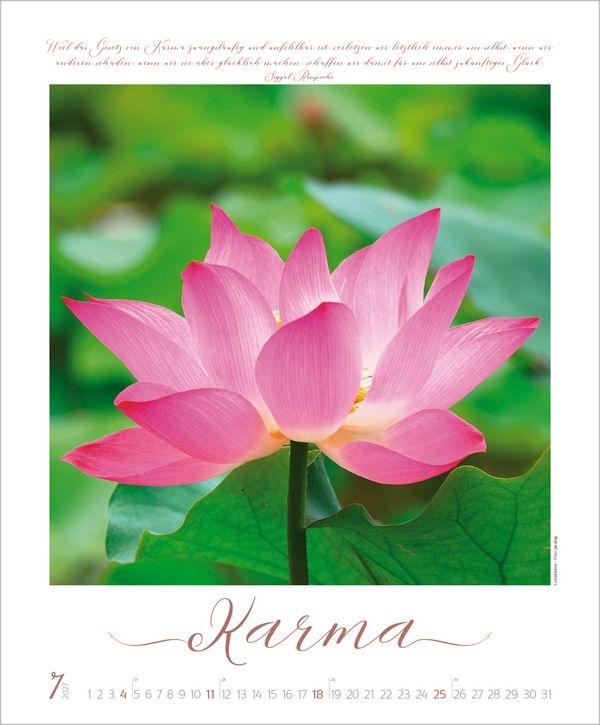 Beispielinhalt (Bild) Buddhistische Weisheiten 2027