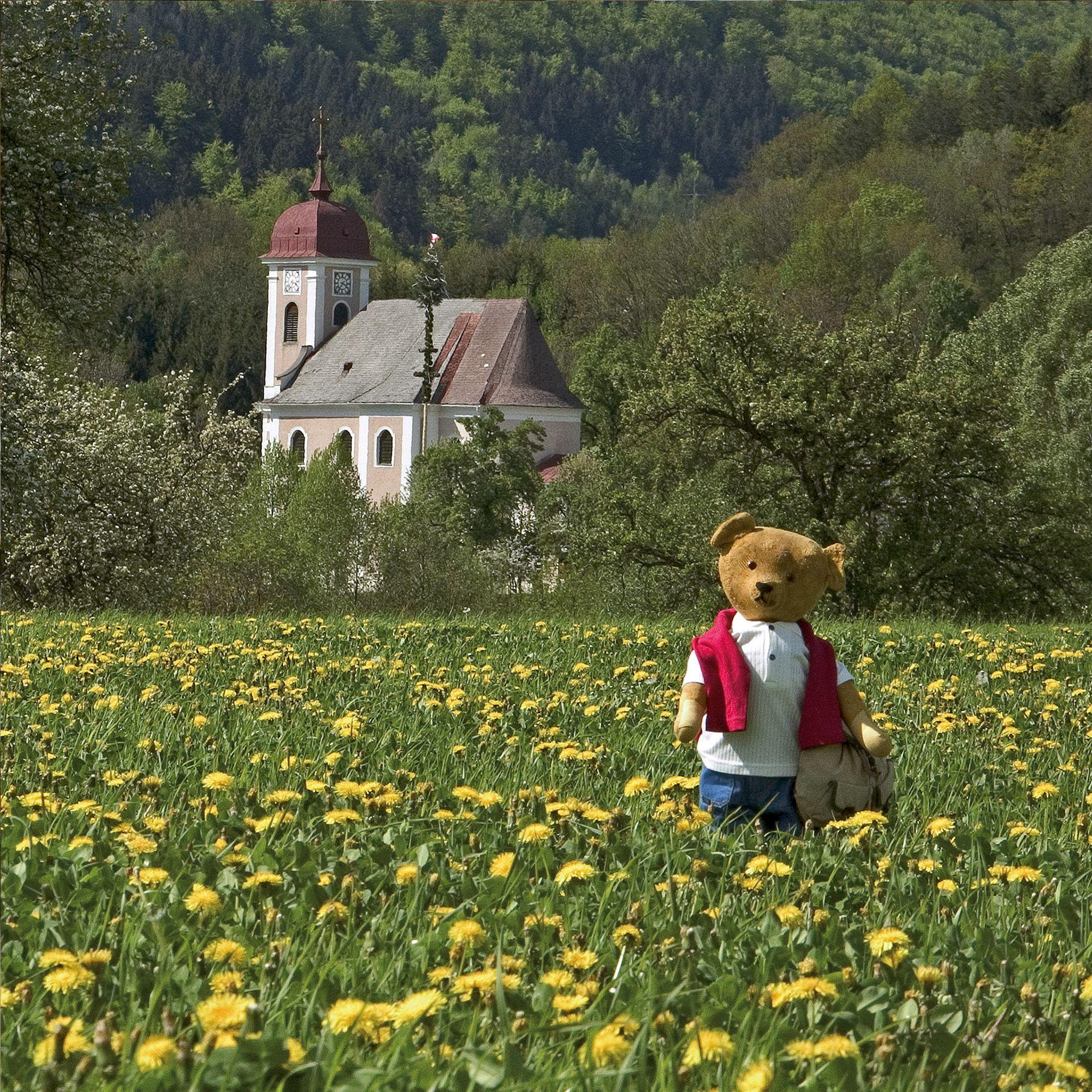 Beispielinhalt (Bild) Teddys World 2027