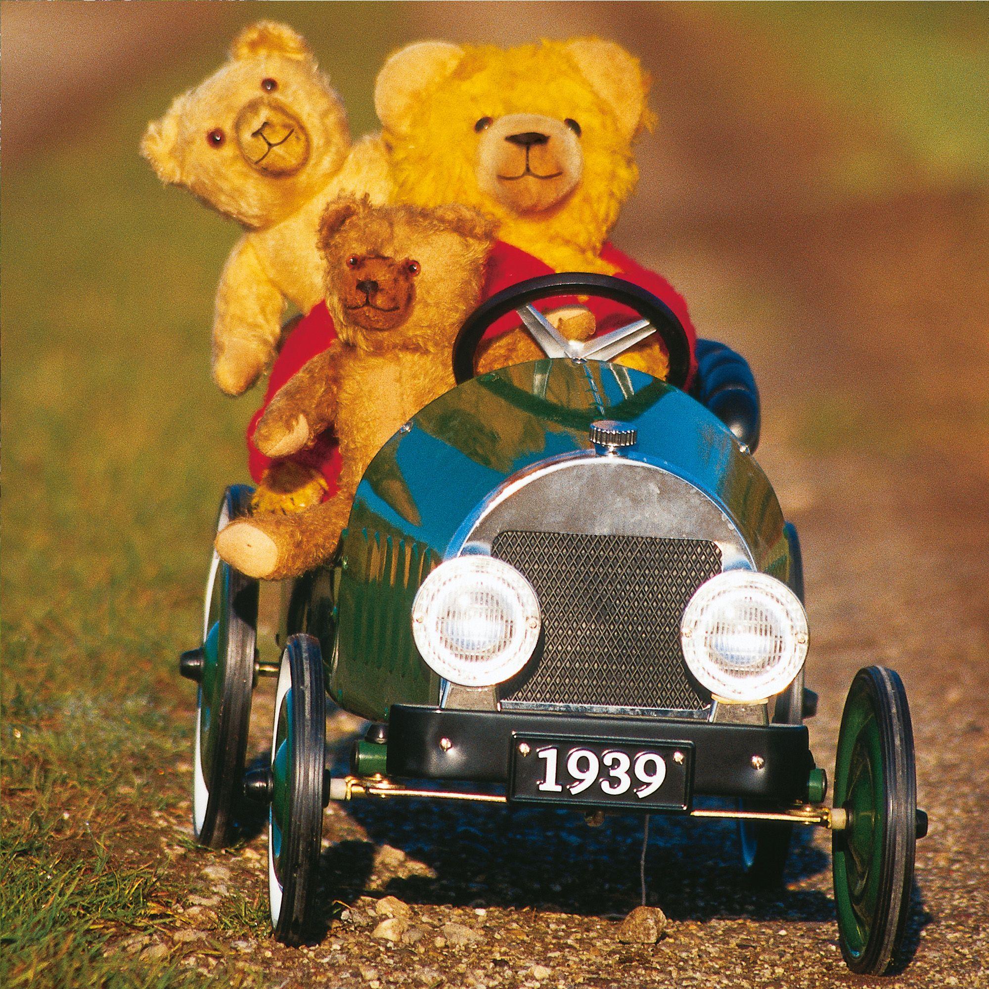 Beispielinhalt (Bild) Teddys World 2027