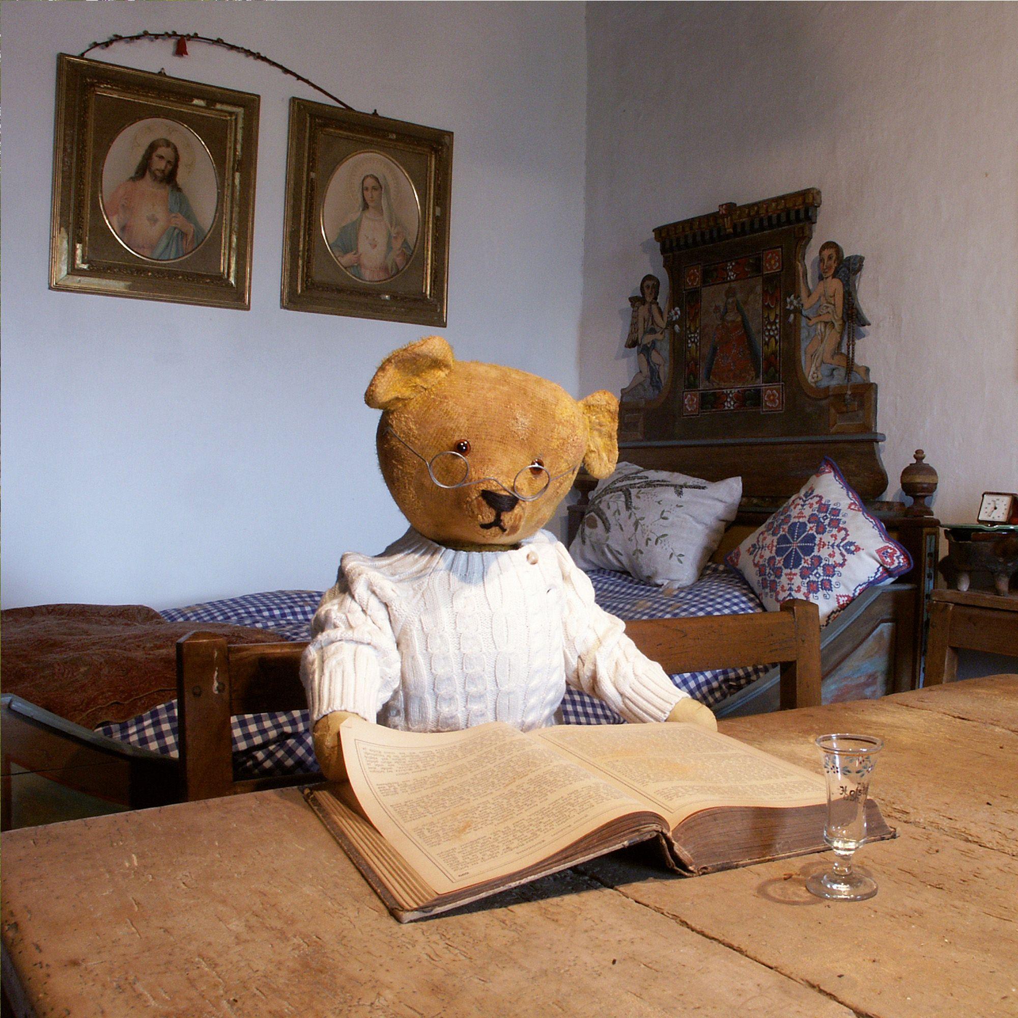 Beispielinhalt (Bild) Teddys World 2027