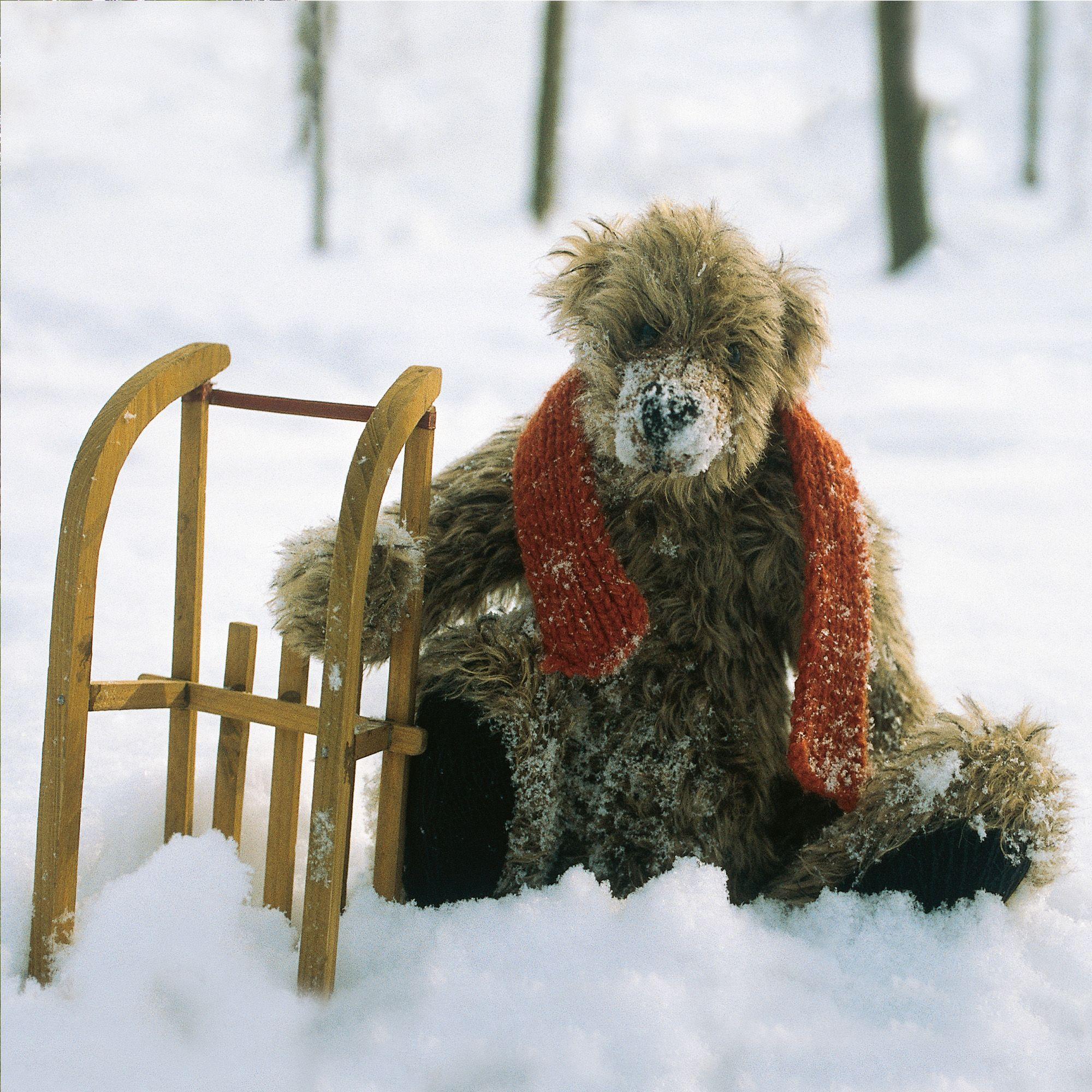 Beispielinhalt (Bild) Teddys World 2027